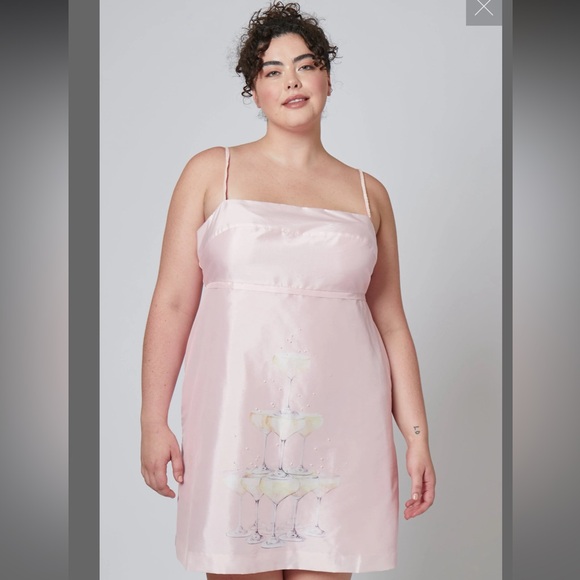 Rachel Antonoff Dresses & Skirts - New Rachel Antonoff Champagne Tower Gwen Dress Sz 14 Pink